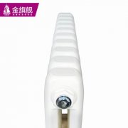 ůƬʲôӺ 2017ůƬʮ