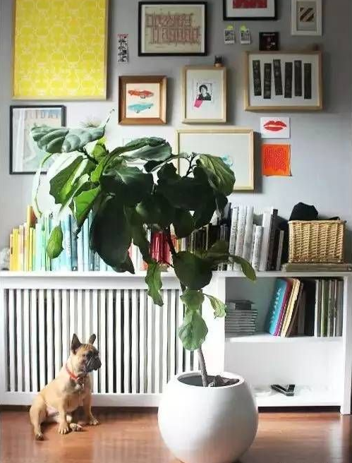 暖氣片安裝,暖氣片